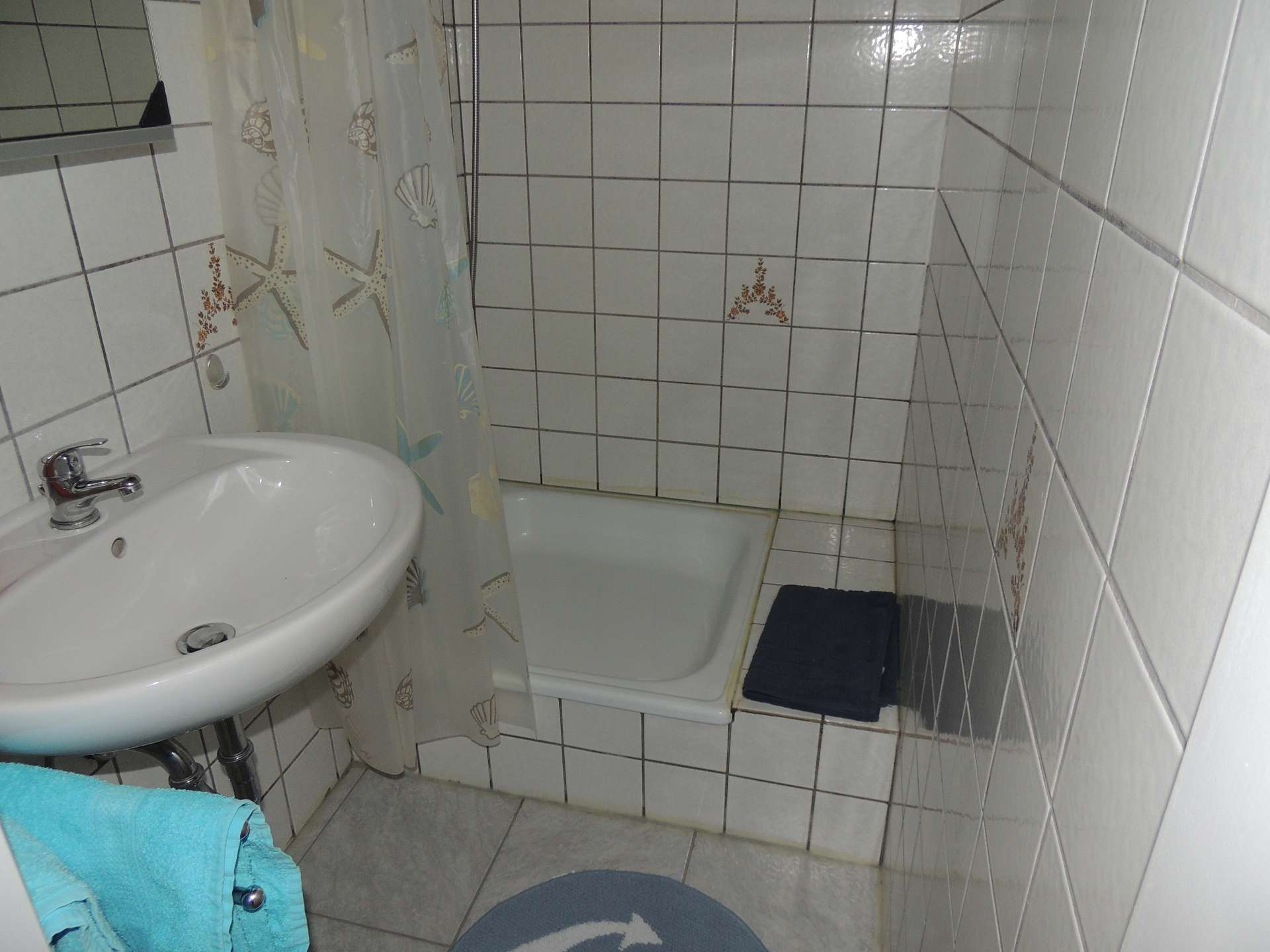 Badezimmer mit Waschbecken und Dusche