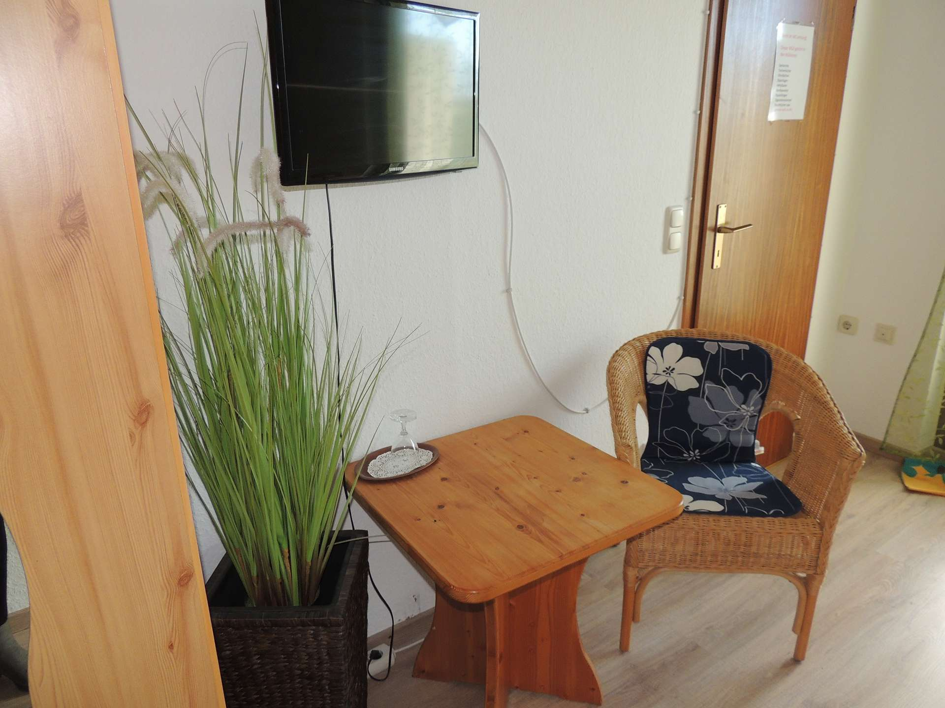 Tisch und Stuhl mit TV und künstlichem Schilf